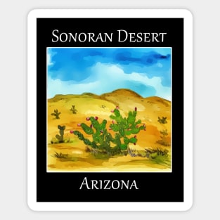 Saguaro cactus as you might see in the Saguaro National Park in Arizona Magnet